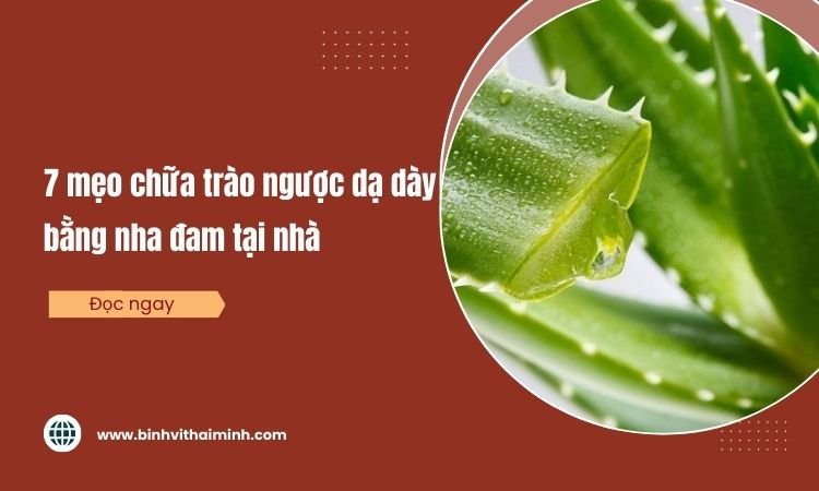 7 Mẹo chữa trào ngược dạ dày bằng nha đam tại nhà