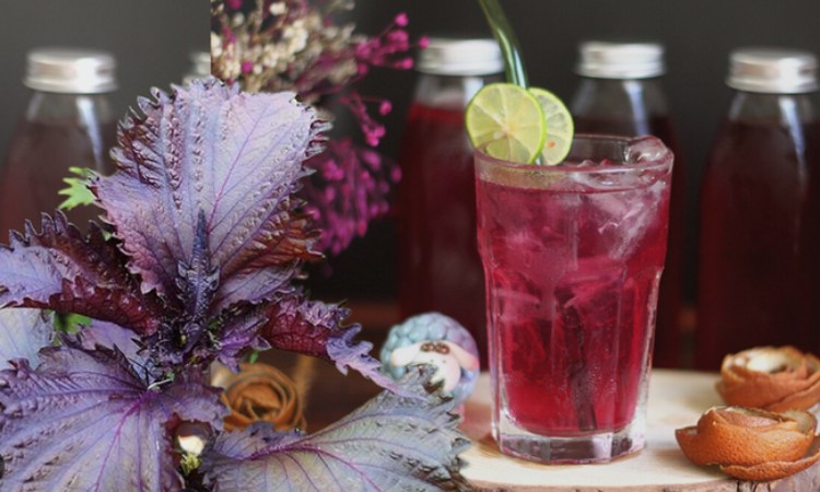 1. Uống nước lá tía tô 1