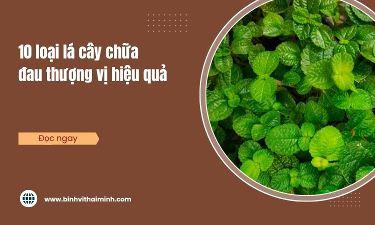 10 Loại lá cây chữa đau thượng vị hiệu quả! 1