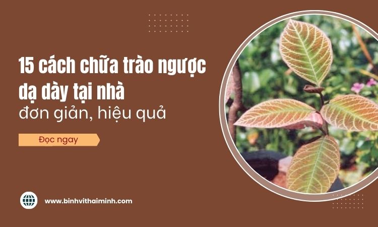 15 cách chữa trào ngược dạ dày tại nhà nhanh và hiệu quả