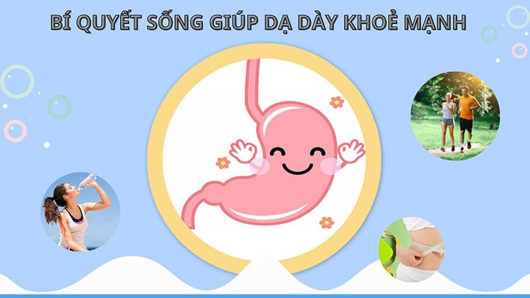 10+ Bí quyết sống để dạ dày khỏe mạnh như người Nhật