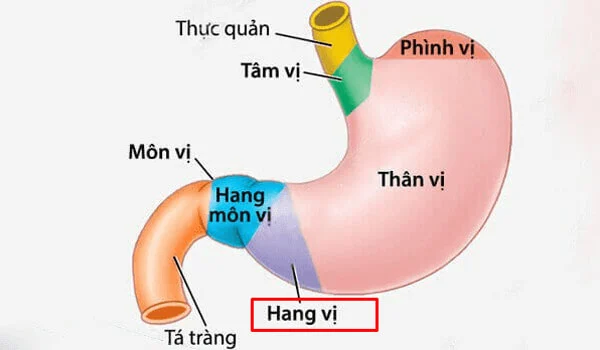 chu-minh-4.jpg