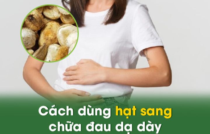 hạt sang chữa đau dạ dày