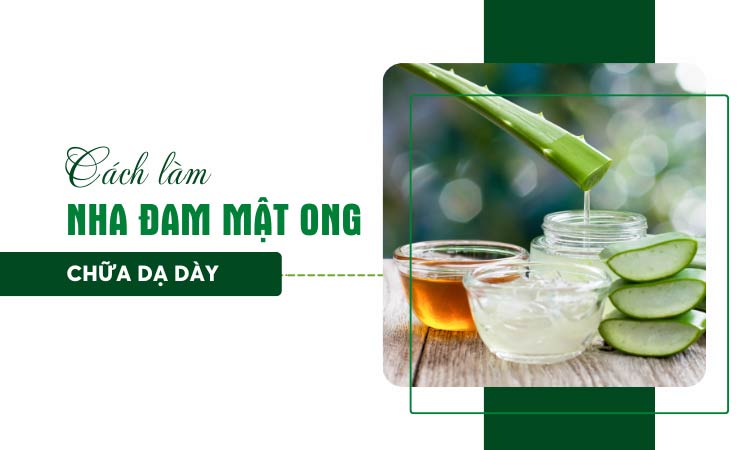 3+ Cách làm nha đam mật ong chữa dạ dày thơm ngon, tiết kiệm