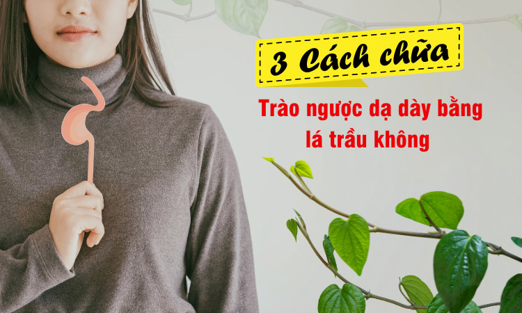 3 Cách chữa trào ngược dạ dày bằng lá trầu tại nhà đơn giản