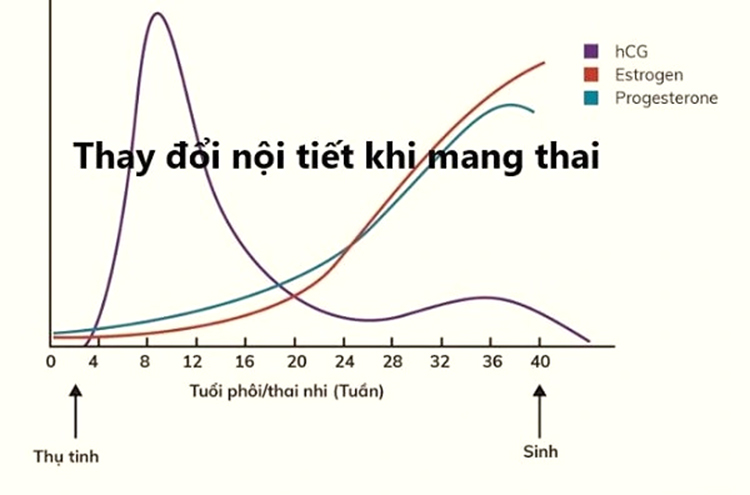 mẹo chữa trào ngược dạ dày bằng gừng