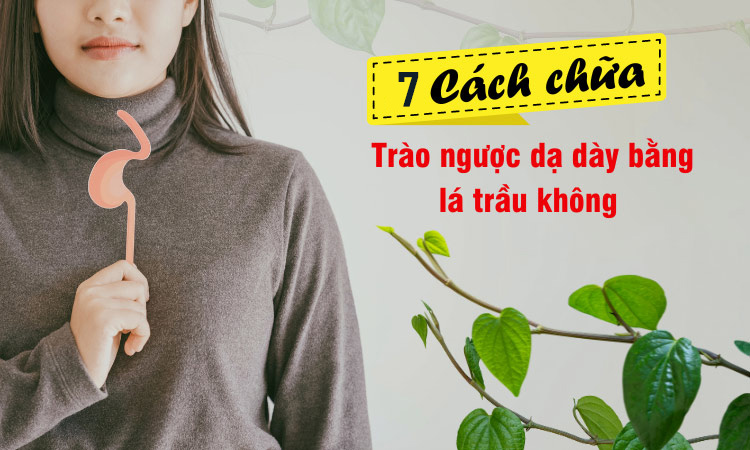 Cách chữa trào ngược dạ dày bằng lá trầu không 1